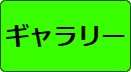 ギャラリー